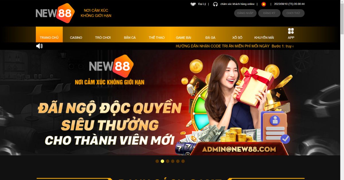 Lý do nên chọn New88?